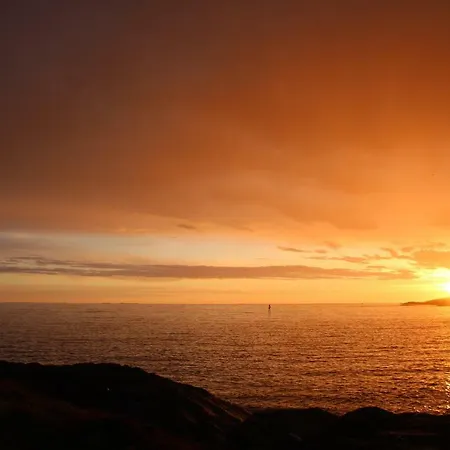 Superior With Sea View In Senja