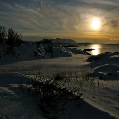 Superior With Sea View In Senja