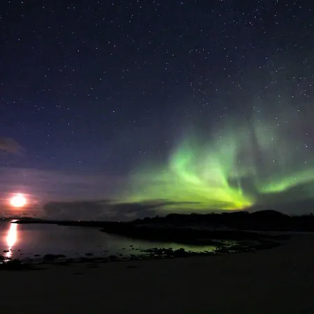 Lodge Superior With Sea View In Senja Senjehesten