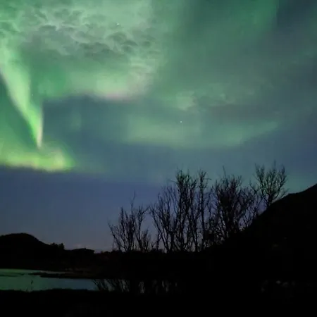 Superior With Sea View In Senja