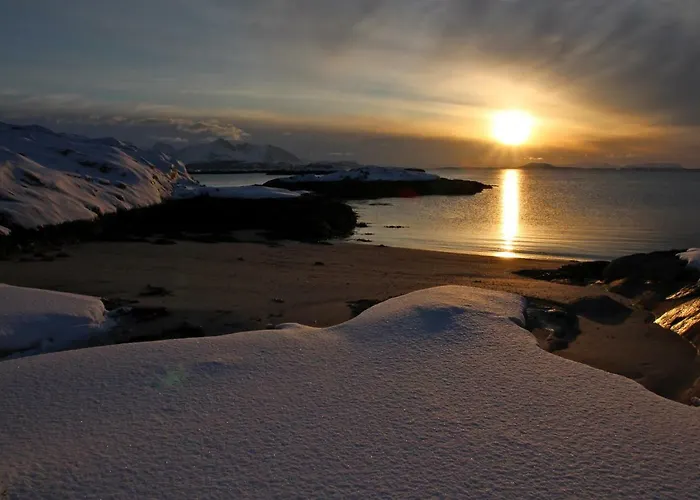 Superior With Sea View In Senja Lodge *
