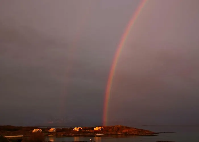 Superior With Sea View In Senja Lodge