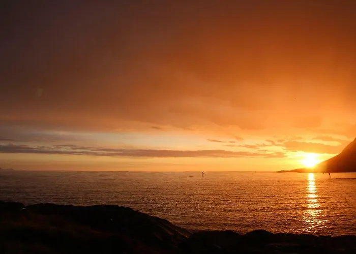 Superior With Sea View In Senja