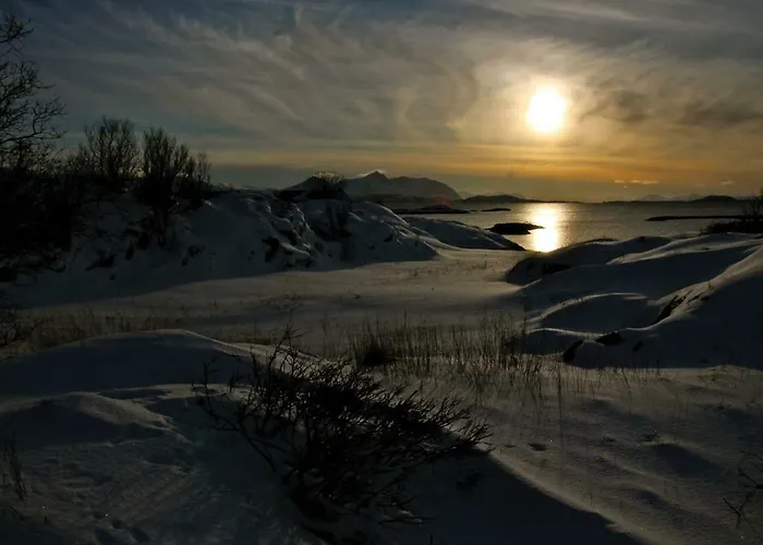 Superior With Sea View In Senja