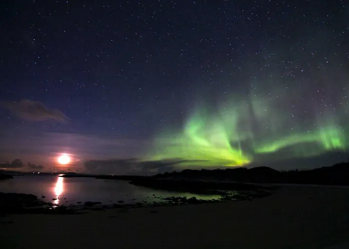 Lodge Superior With Sea View In Senja Senjehesten