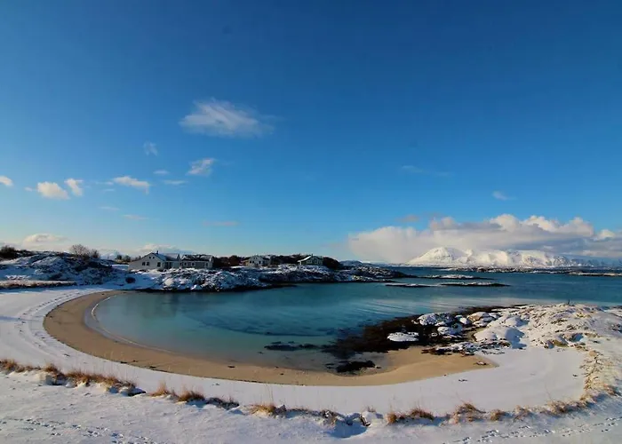 Superior With Sea View In Senja Lodge