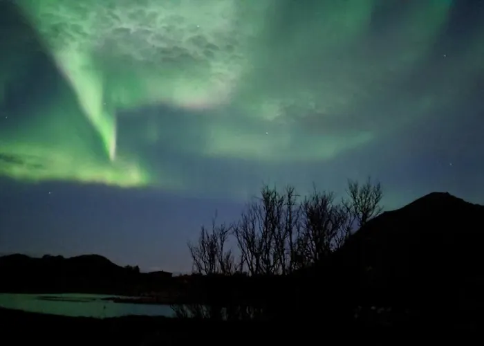 Superior With Sea View In Senja