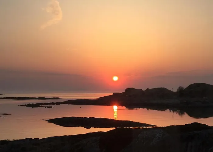 Superior With Sea View In Senja Senjehesten