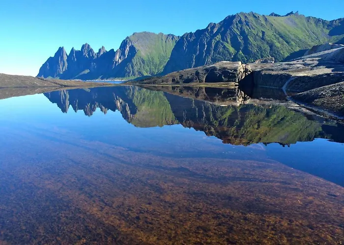 Superior With Sea View In Senja אכסניה Senjehesten